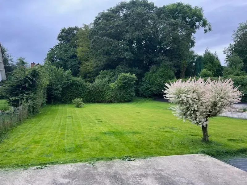 jardin-apres