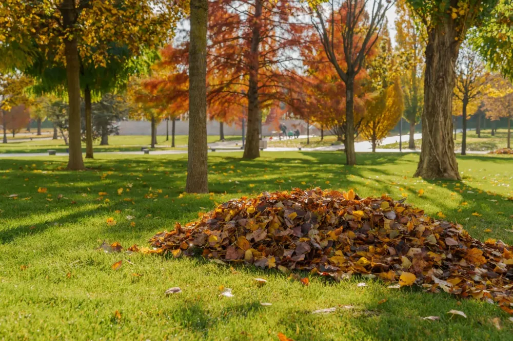 Entretien de parc à Saint-Josse